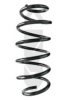 SPIDAN 87026 Coil Spring
